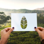 Unlock firma parceria com Carbon Free Brasil para neutralizar impacto ambiental de suas operações