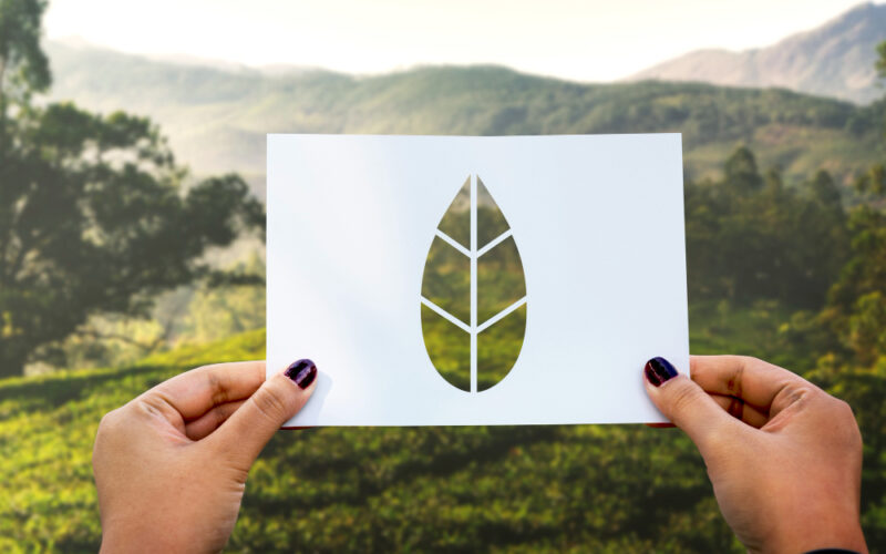 Unlock-firma-parceria-com-Carbon-Free-Brasil-para-neutralizar-impacto-ambiental.jpg